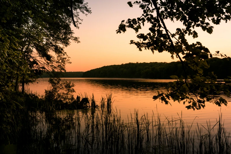 Stiller See in der Abenddämmerung mit Bäumen im Vordergrund