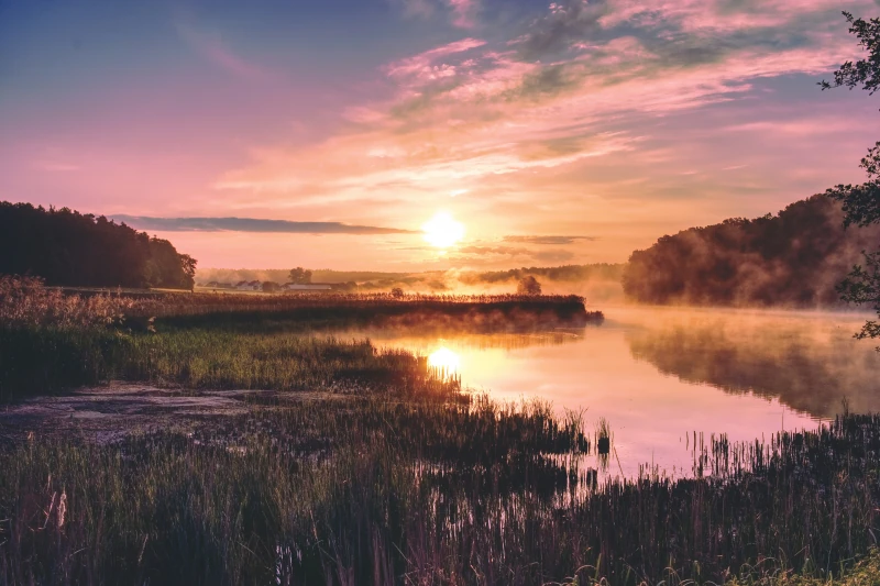 Nebliger See bei Sonnenaufgang mit rosa-orangefarbenem Himmel