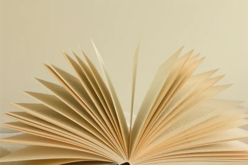 Offenes Buch mit aufgefächerten Seiten