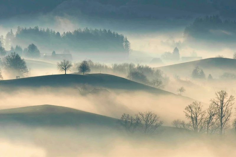 Hügelige Landschaft mit Bäumen im Morgennebel