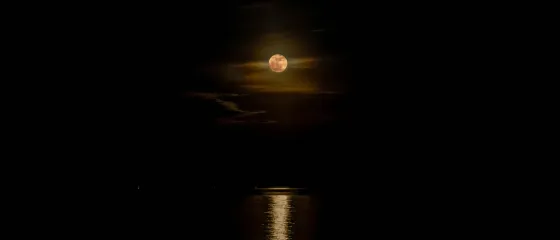 Vollmond über dunklem Meer mit Lichtreflexion auf dem Wasser
