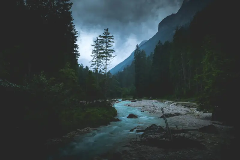 Fluss zwischen hohen bäumen am Abend