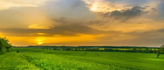 Grüne Wiese unter weitem Himmel mit Sonnenuntergang am Horizont