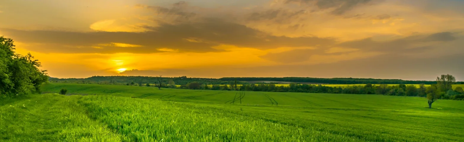 Grüne Wiese unter weitem Himmel mit Sonnenuntergang am Horizont